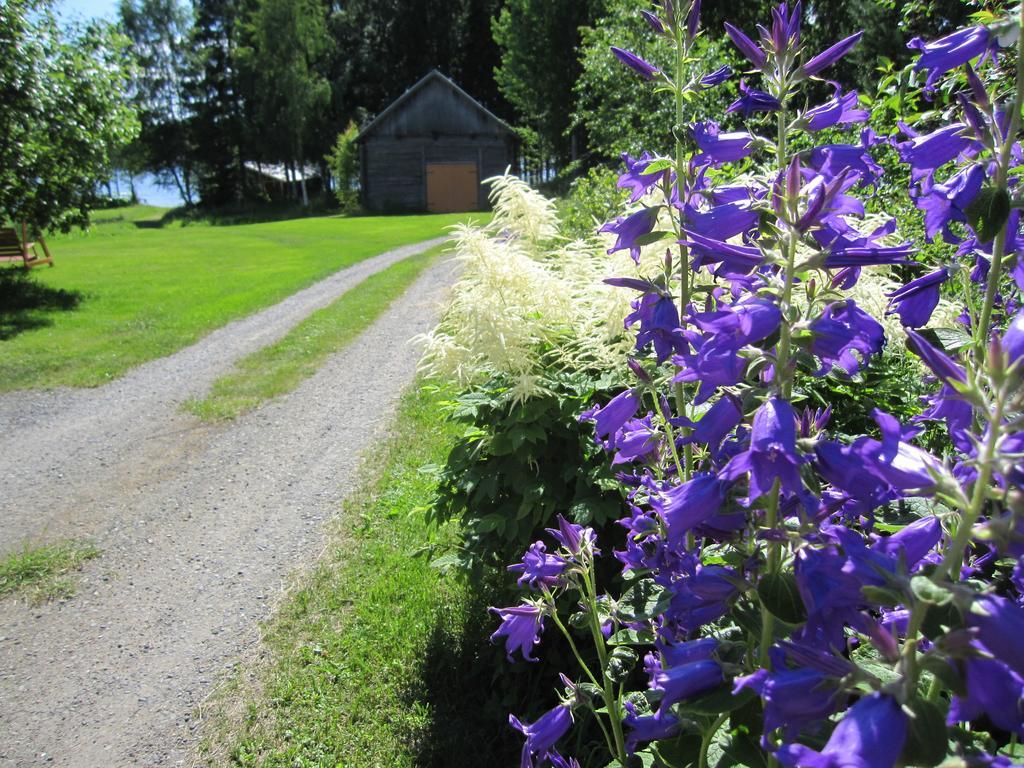 Karjalan Helmi Tolosenmäki Exterior foto