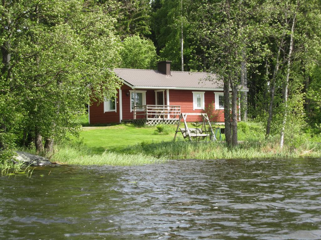 Karjalan Helmi Tolosenmäki Quarto foto