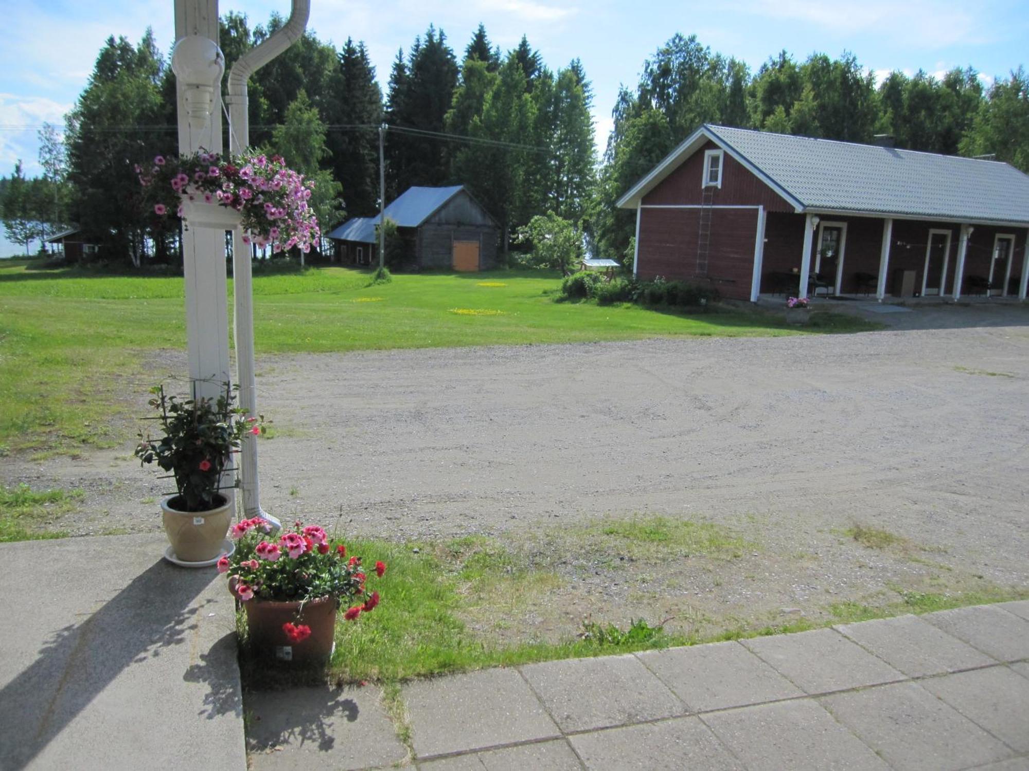 Karjalan Helmi Tolosenmäki Quarto foto