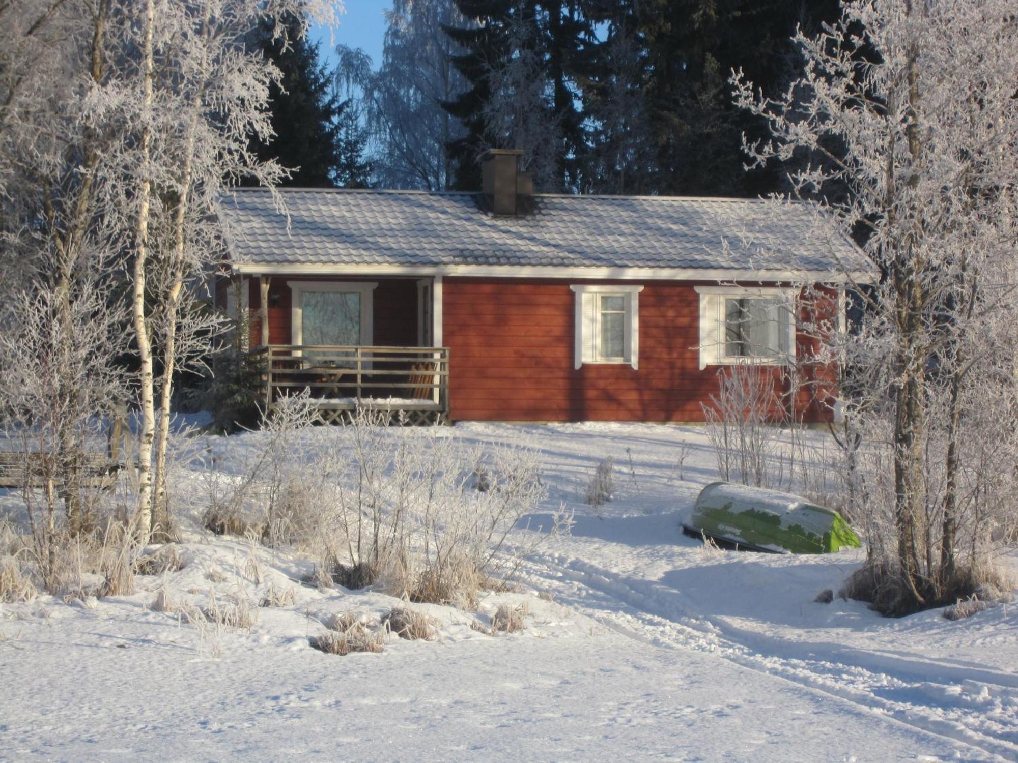 Karjalan Helmi Tolosenmäki Quarto foto