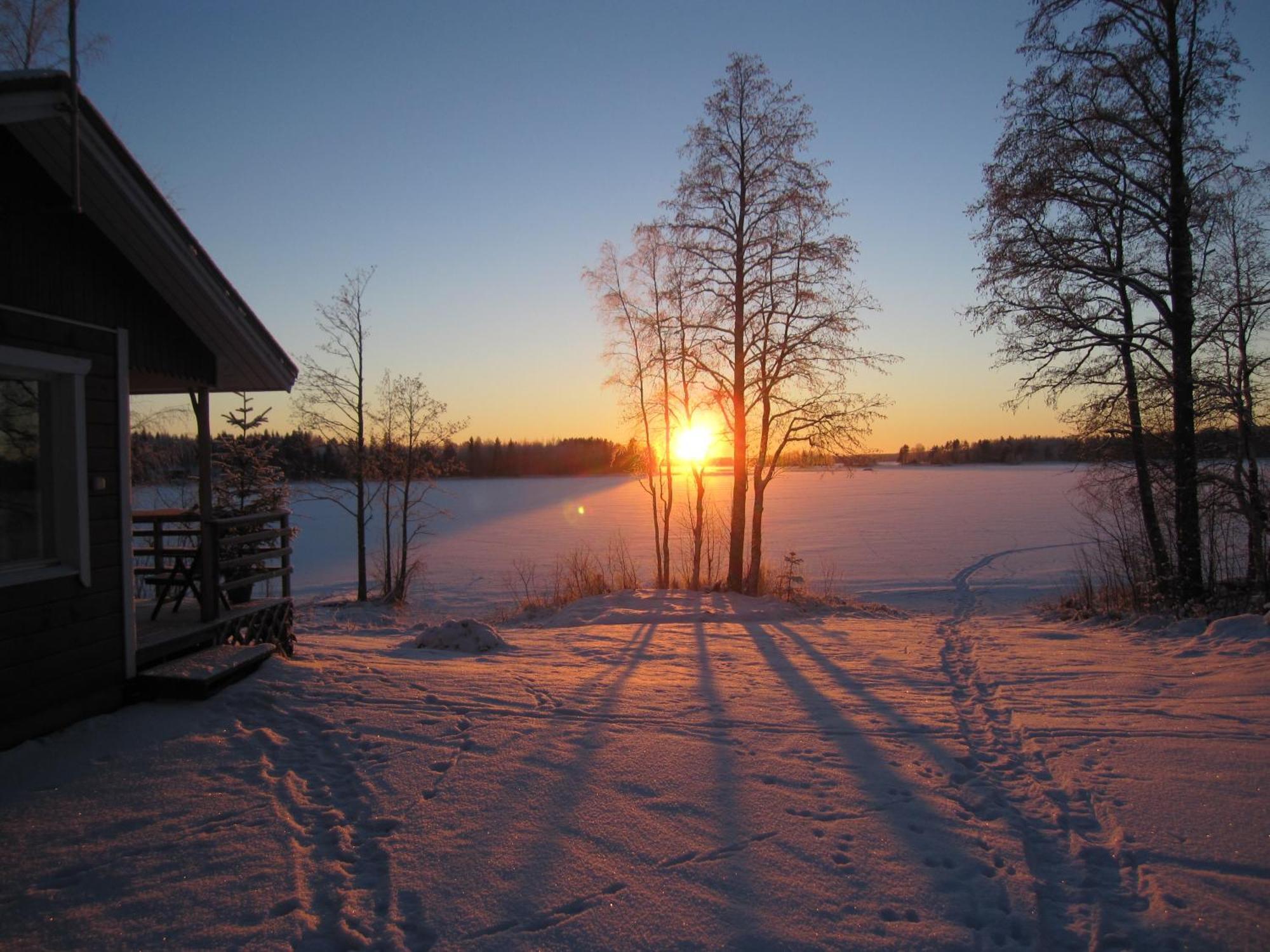 Karjalan Helmi Tolosenmäki Quarto foto